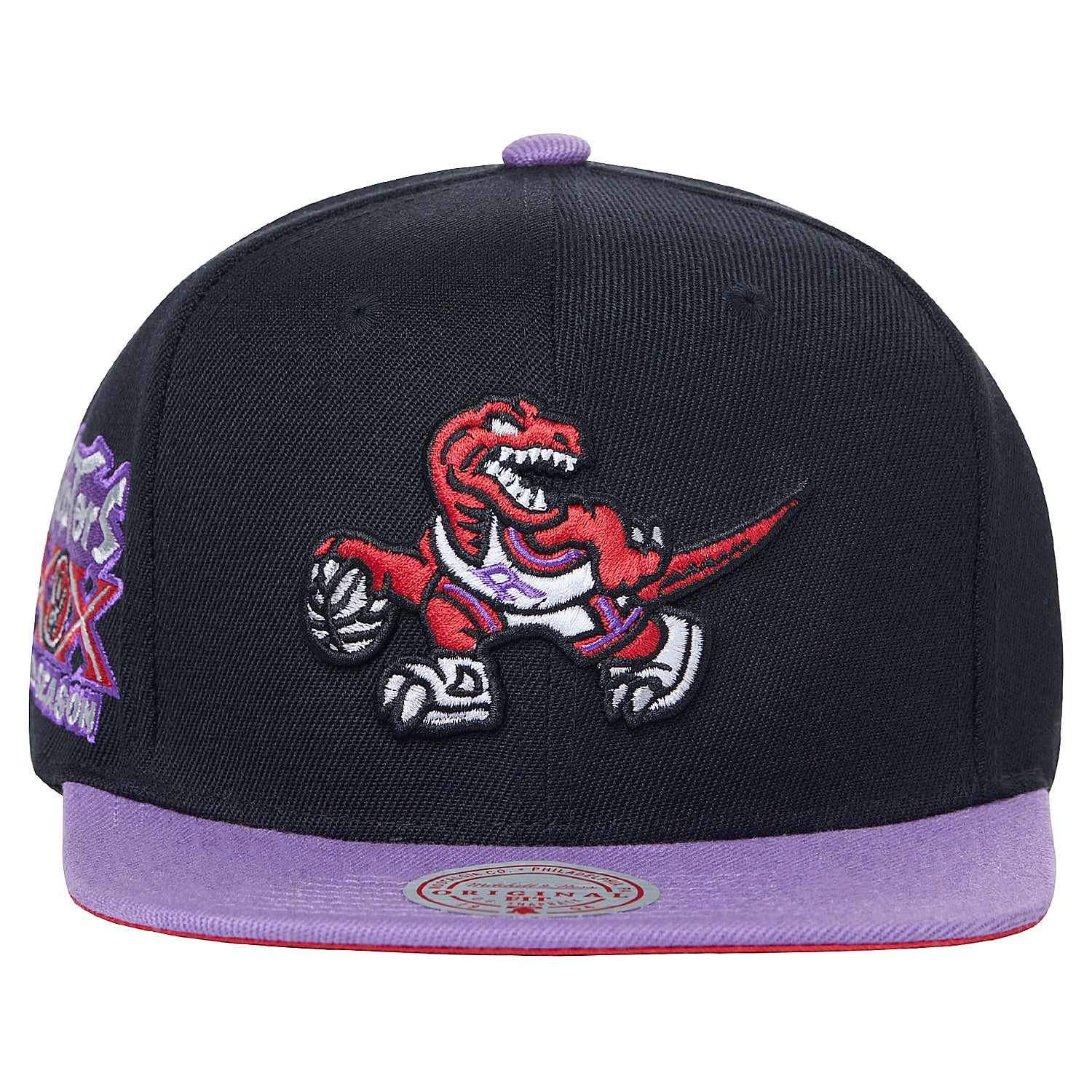 Toronto Raptors Mitchell & Ness 20th Season Hardwood Classics Like Mike Snapback Hat