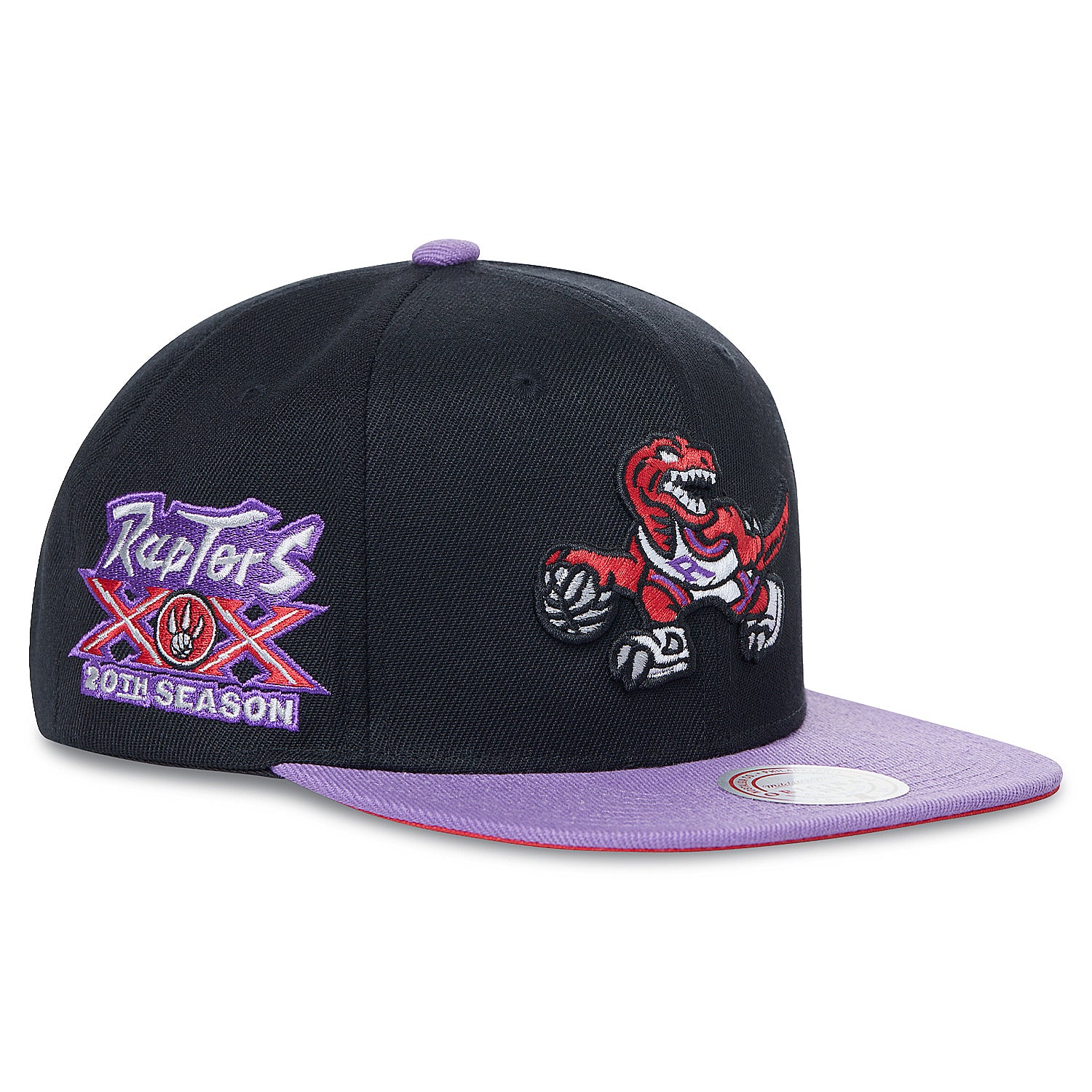 Toronto Raptors Mitchell & Ness 20th Season Hardwood Classics Like Mike Snapback Hat