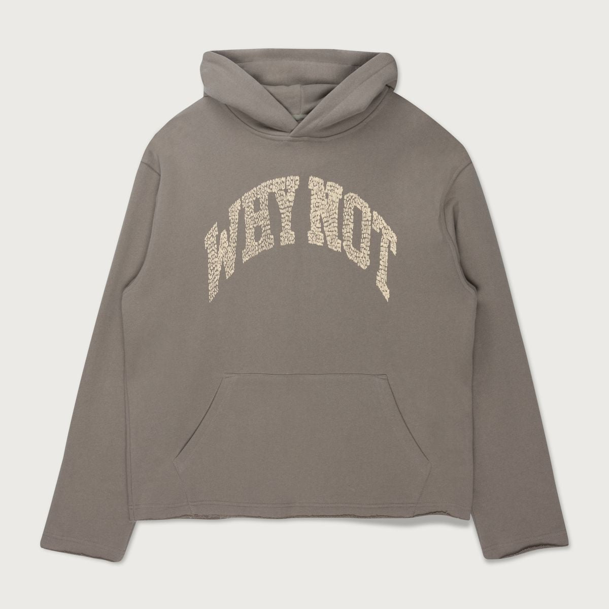 WHY NOT HOODIE